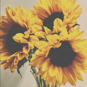 10% Bundle (3+ items) + Free Shipping